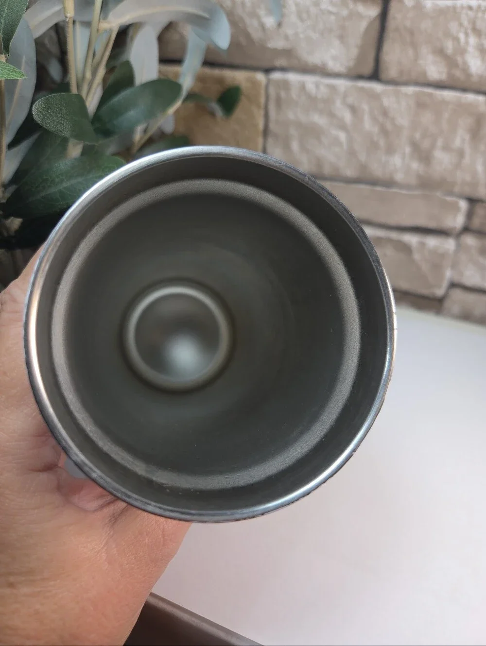 CRAZY PLANT LADY-Double Walled Stainless Women & Houseplants Tumbler Travel Lid